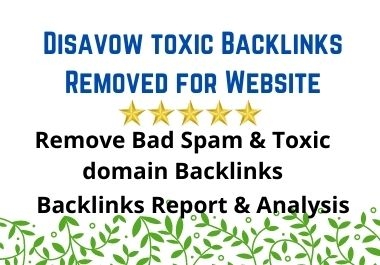 I will Remove Disavow Toxic Backlinks for Website