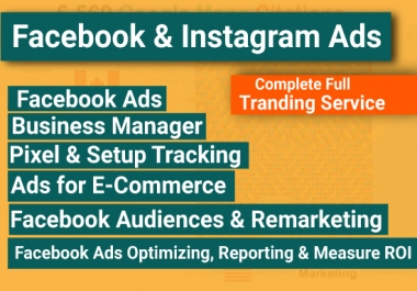 I will setup Facebook ads,  strategies,  and funnels professionally