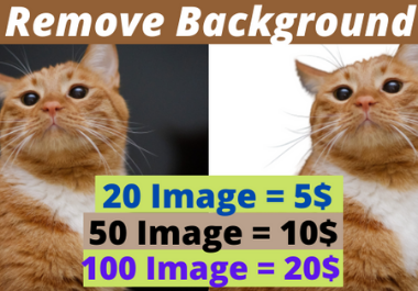 I will remove background from your image manually
