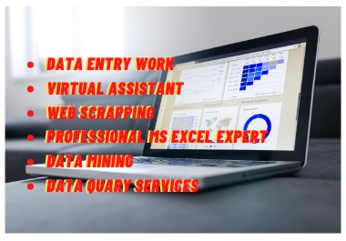 Data entry professional MS excel automation and virtual assistant