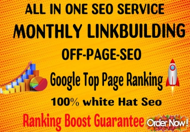 Google Seo Top Ranking with Our Professional Monthly SEO Service
