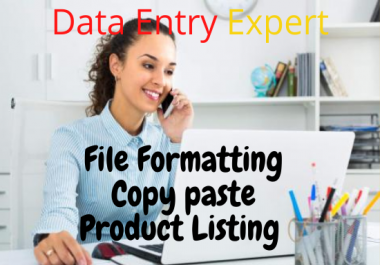 I will do Data Entry work with do Virtual Assistant