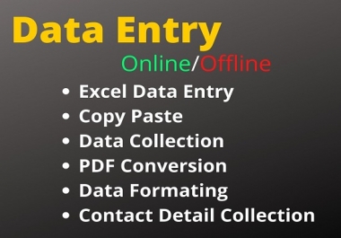 I will do Data Entry Jobs and lead list building
