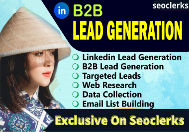 I will do Targeted b2b and LinkedIn leads