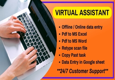 I will do professional Virtual Assistant,  Web Research,  Typing,  Data Entry
