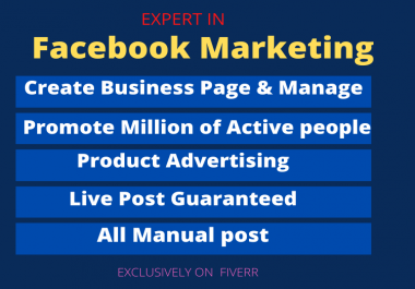 Professional Social Media Marketer And promote your business in the USA,  UK