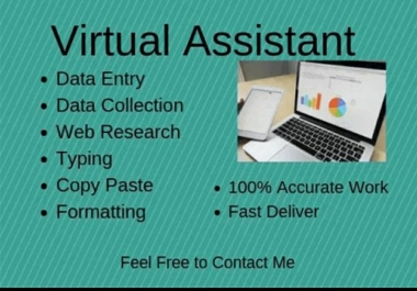 Professional Data Entry Expert. MS Excel Entry Expert. Data Arranger and Data Collector.