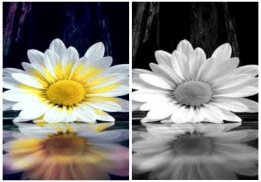 Colour pictures black and white