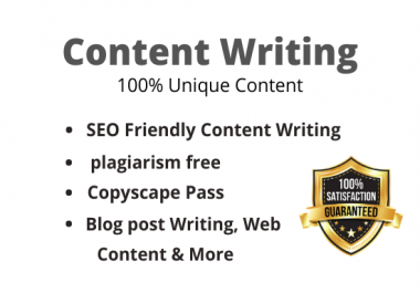 I will write 1000 words SEO friendly web site content & blog post on any topic
