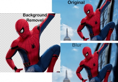 I will do profesional Photoshop editing, Background And Retouching within 12 hours