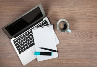 I will write professional SEO articles for your website