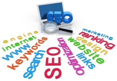 I will do complete google and wordpress SEO services