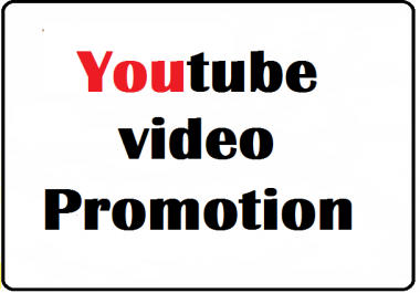 I will do Organic YouTube video promote
