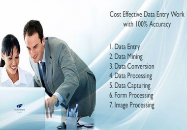 I do data entry & data processing.
