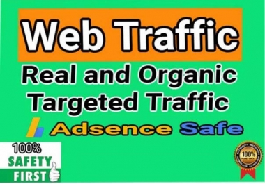 I will provide 150,000+ real or organic and targeted web traffic 4000 to 5000 visitors daily for 30d