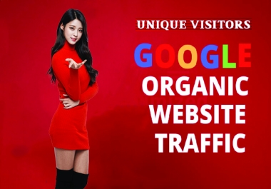 Get 10K SEO organic website traffic USA UK web visitors target keywords
