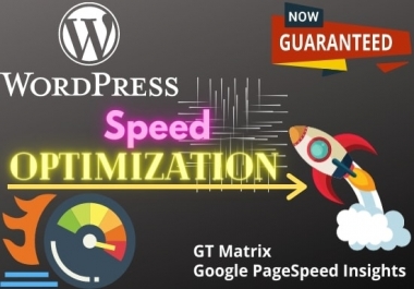 I will do WordPress web speed optimization