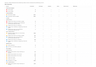I will provide an in depth SEO audit report with action plan
