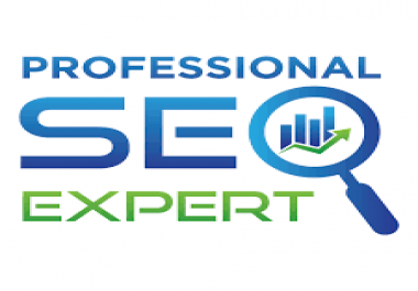 I will be your website SEO growth manager