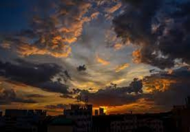 Data Entry,  translate,  form filling,  PDF