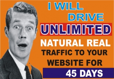 Drive UNLIMITED Real Targeted Website Traffic for 45 Days