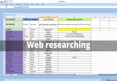 I will do any type of data entry, web scraping,  data mining and web research work