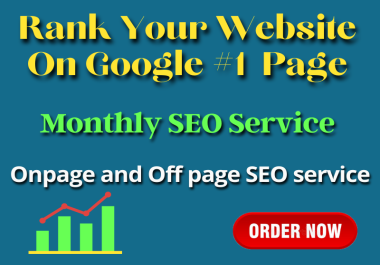 Monthly SEO Services | On page and Off page SEO Services | Google Top Ranking