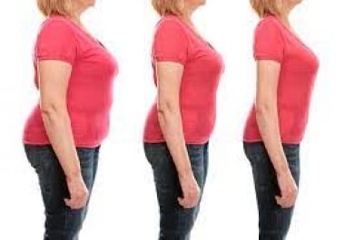 I will provide article about high protien diet