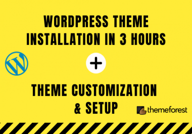 I will do premium wordpress theme installation in 3hrs,  setup demo,  and customize