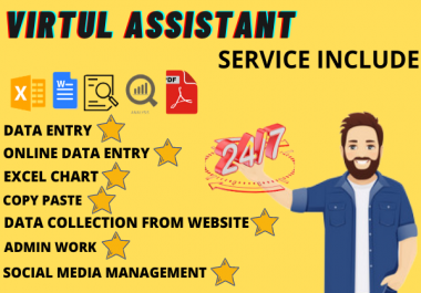I will do excel data entry,  copy paste,  excel chart,  shopify product virtual assistant