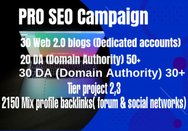 2021 PRO SEO campaign for your website to boost your ranking on google