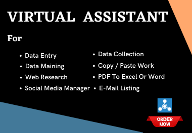 I will do data entry,  copy-paste,  web research,  excel data entry