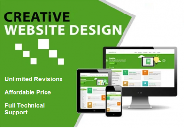 I will design and build a professional WordPress website