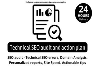 Professional technical SEO audit