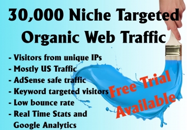 Daily 30,000 keyword targeted web traffic for 30 days