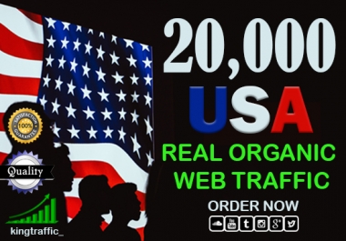 20,000 Real Organic USA Website Traffic Within 4 Days