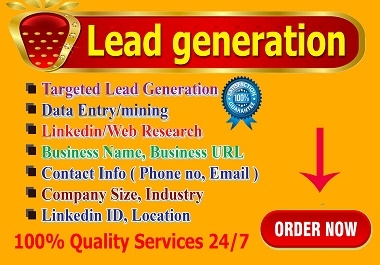 I will do b2b targeted lead generation for your business