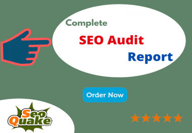 I Will do Complete SEO Audit for your website