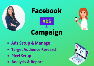 I will run facebook ads campaign to promote your business