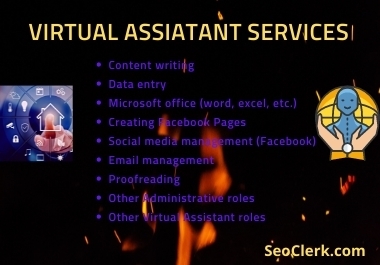 I will be your Virtual Assistant on Social Media