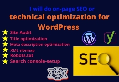 I will do on page SEO or technical optimization for Wordpress