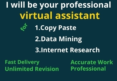 I will be your professional virtual assistant and data mining