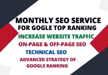 I will Monthly SEO service for google top ranking