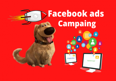 I will setup Facebook ads campaign.