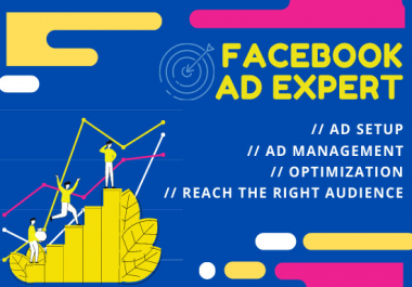 I will build high converting facebook ads & instagram ads