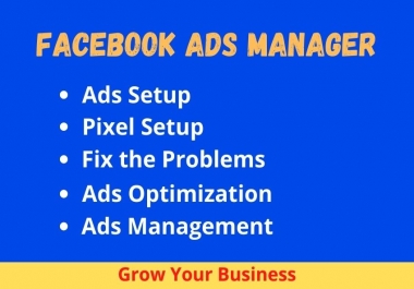 I will be your expert Facebook ads manager