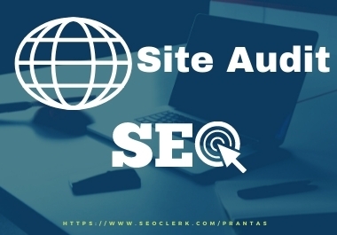 I will audit your on-page WordPress site and send a complete report.