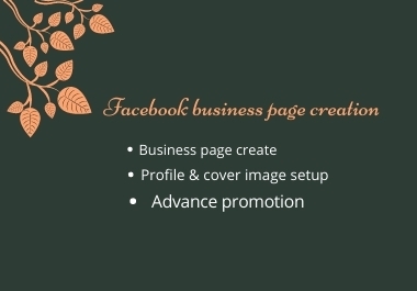 I will create,  optimize,  fix and design a Facebook business page.