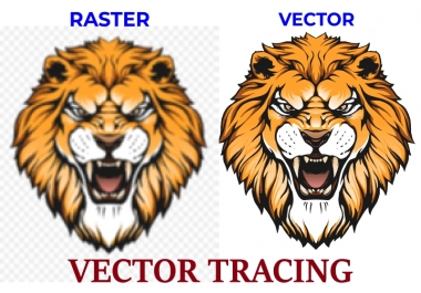 I will do vector tracing,  convert your image or logo to vector