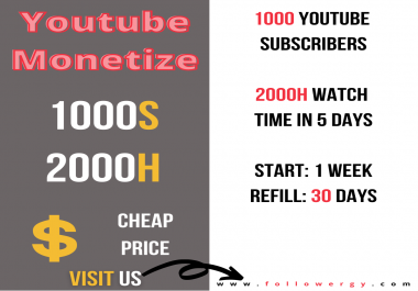 Get 2000H watch time youtube monetizable package and start earn money
